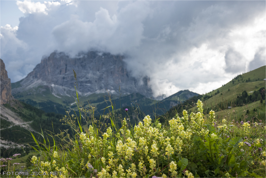 2013 07 29 gran cier 0111
