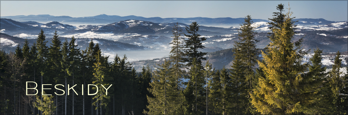 DSC 2220 header beskidy