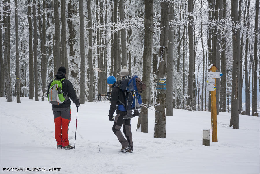 rozwidlenie szlaków żółty szlak na Jałowiec Beskid Makowski zima w górach