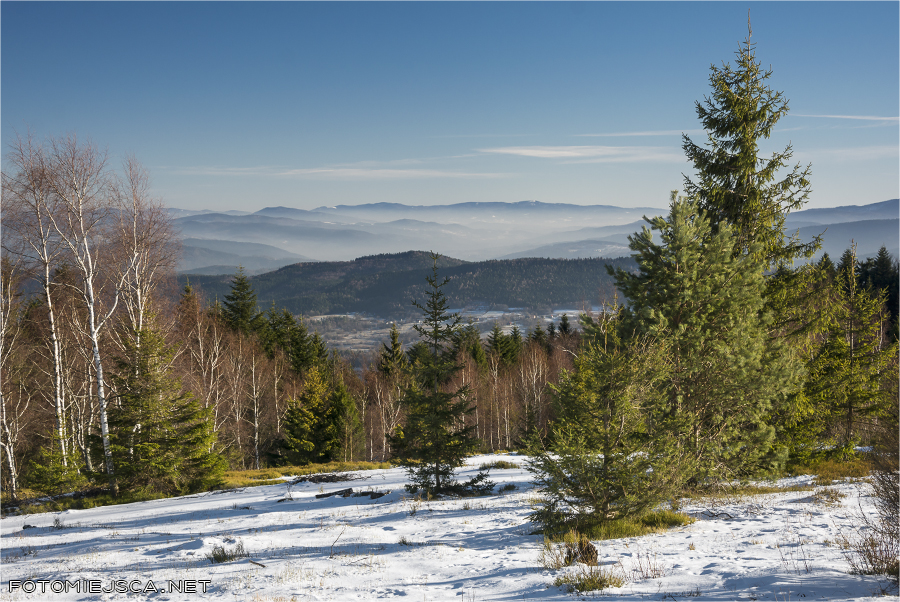 2017 01 01 leskowiec 2393