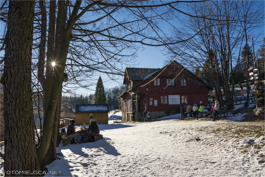 2017 01 01 leskowiec 2396