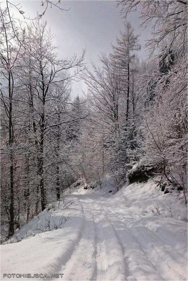 Potrójna Beskid Mały skitury zima w górach