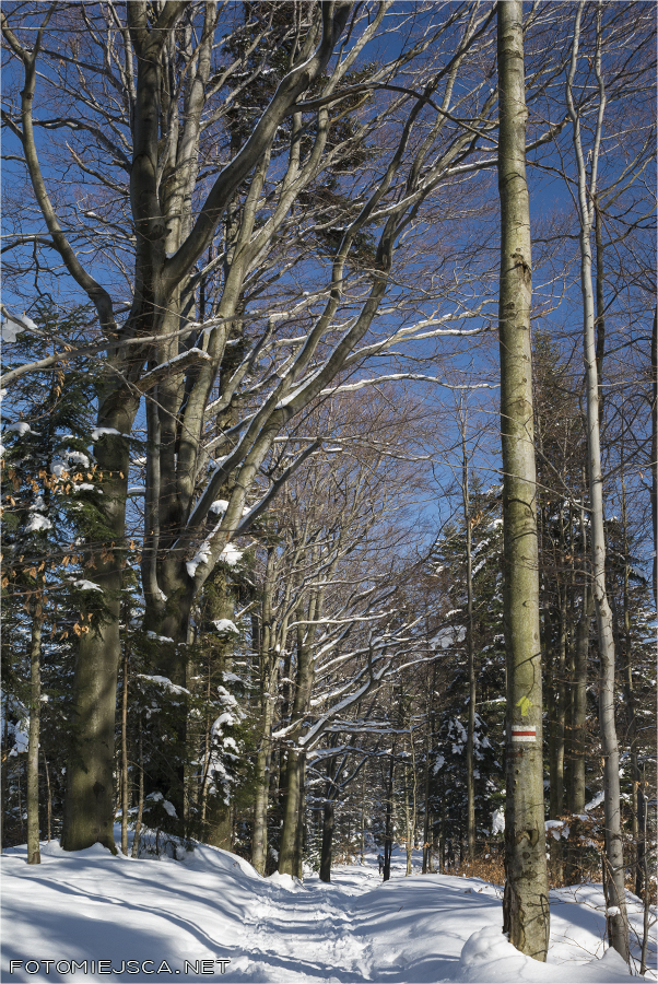 Potrójna Beskid Mały skitury zima w górach