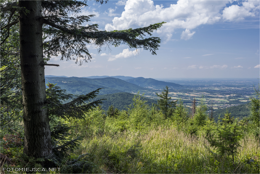 2019 07 28 leskowiec 0977