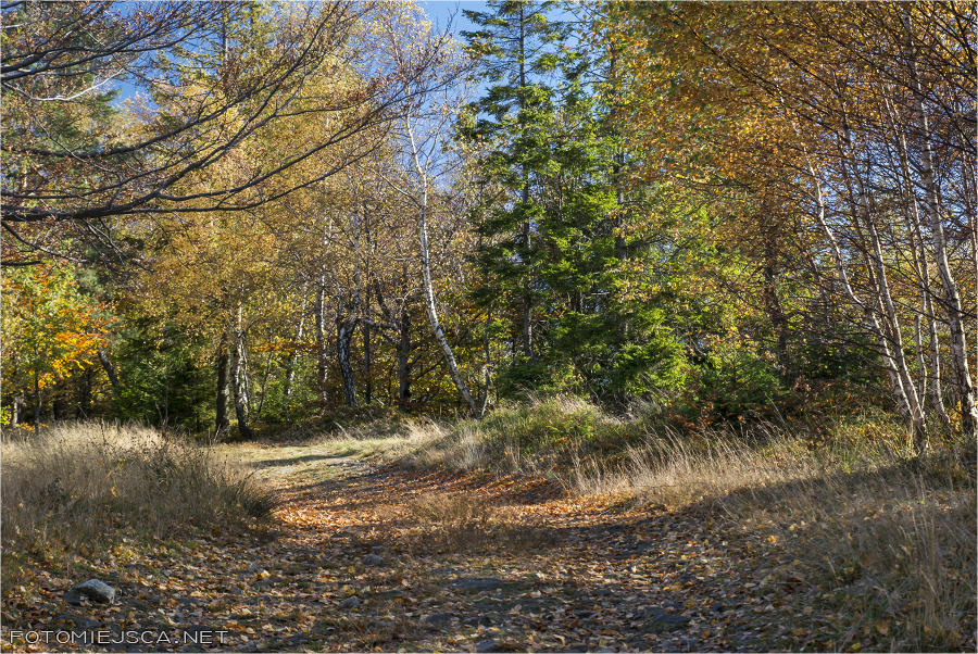 2019 10 20 magurka wilkowicka 1865