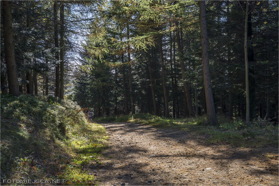 2019 10 20 magurka wilkowicka 1895