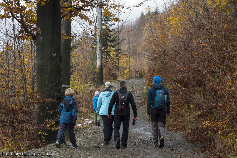 2019 11 11 leskowiec 1981