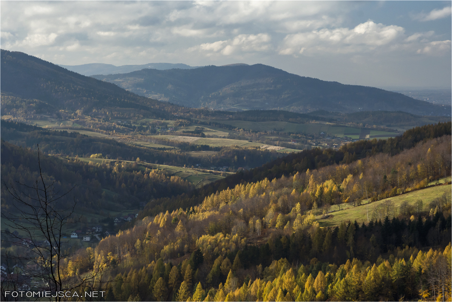 2019 11 11 leskowiec 2001