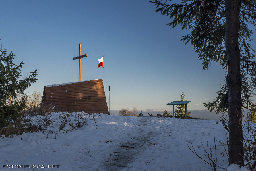 2019 11 11 leskowiec 2058