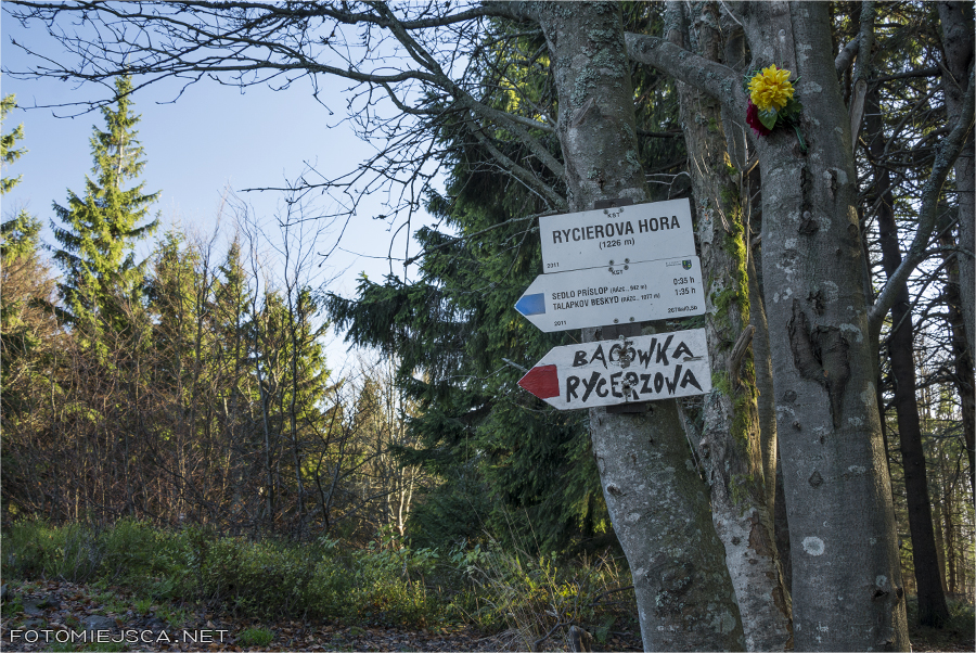 2014 11 02 mala wielka rycerzowa 3301
