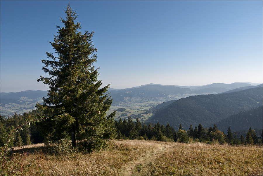 2011 09 25 turbacz 027