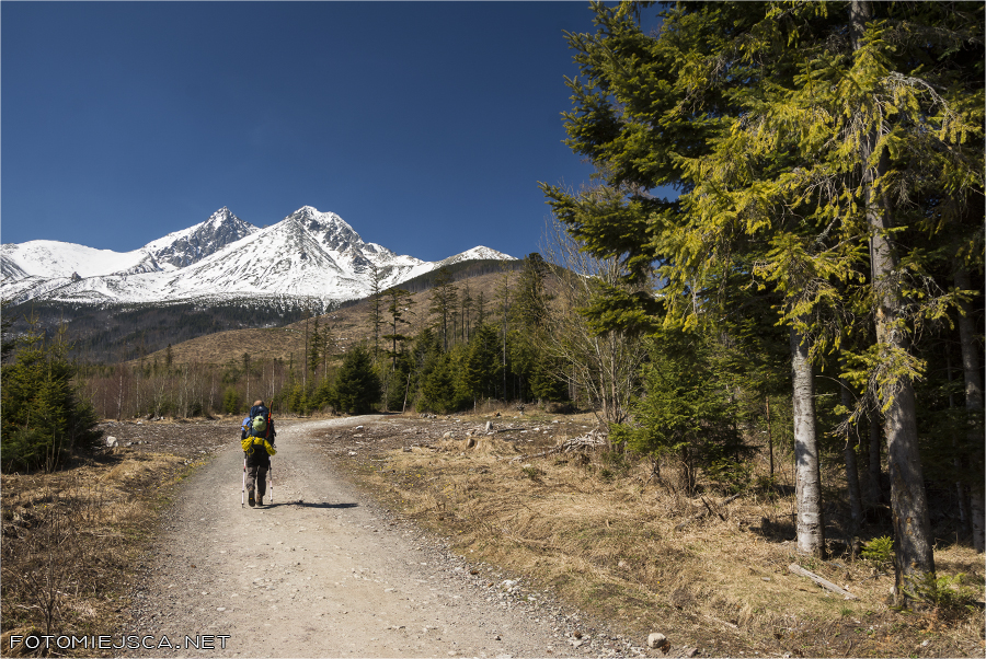 Łomnica Kieżmarskie Szczyty Dolina Kieżmarska Tatry