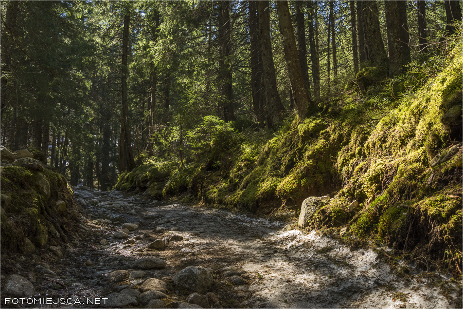 Tatry Dolina Kieżmarska