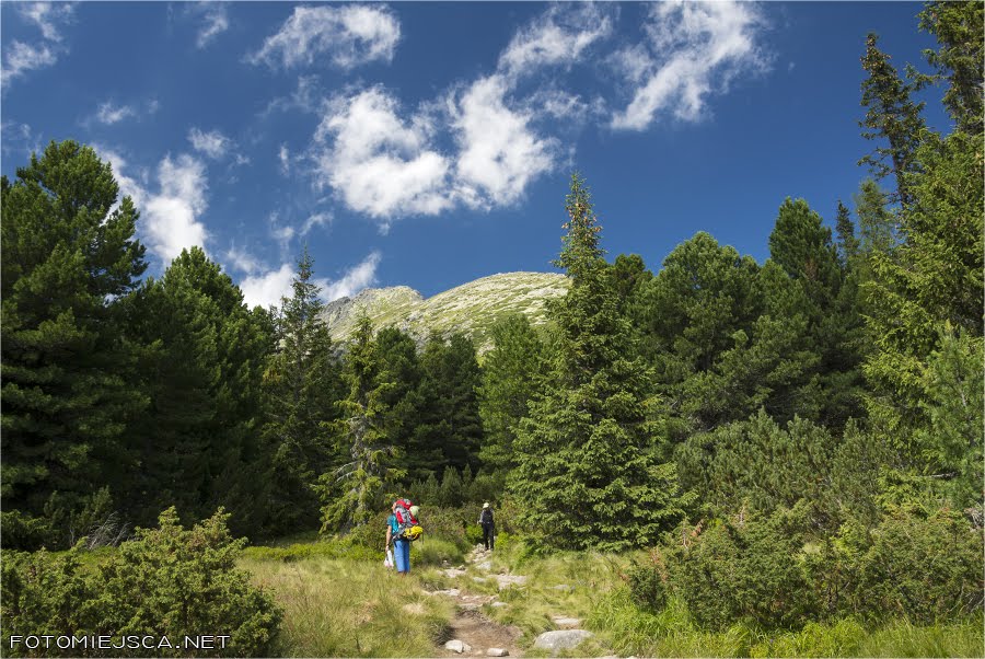 Tatry Wysokie Dolina Furkotna Magistrala Tatrzańska Grań Soliska