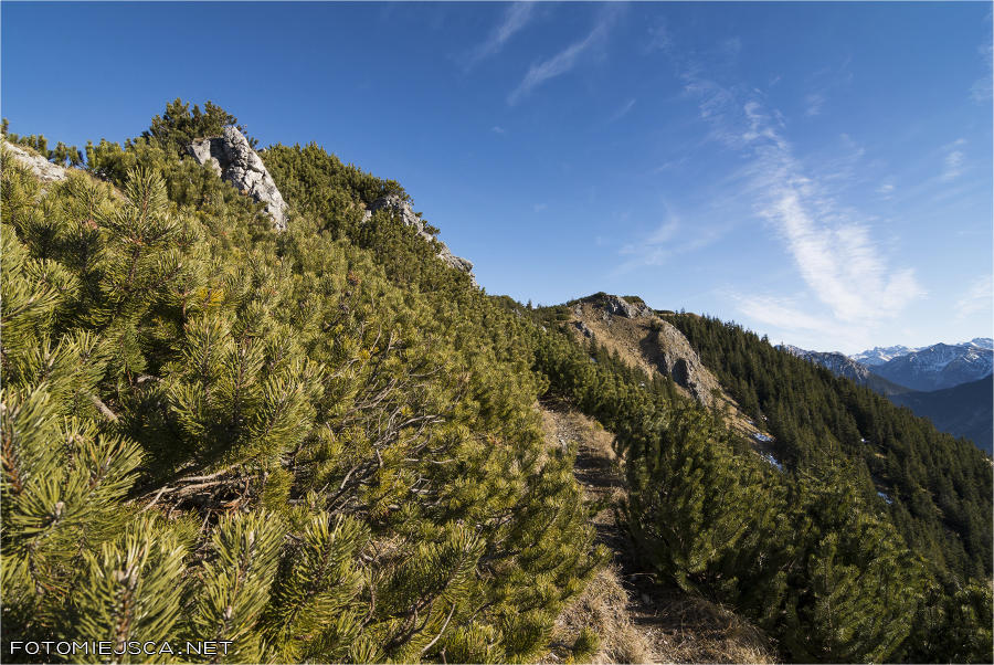 Bobrowiec Tatry Zachodnie