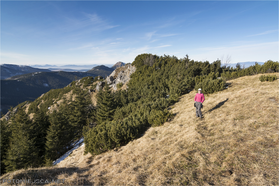Bobrowiec Tatry Zachodnie