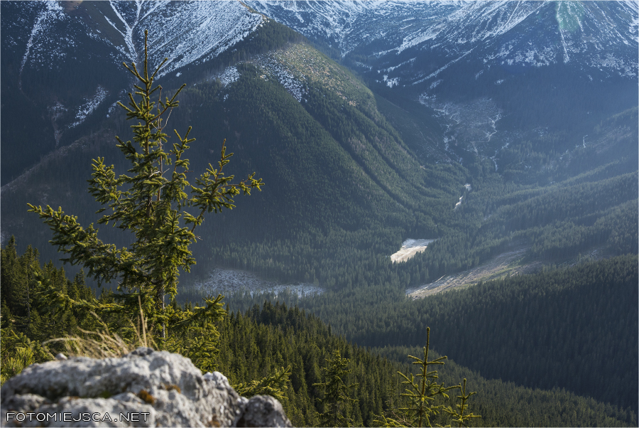 Jarząbcza Dolina Jamborowy Wierch Bobrowiec Tatry Zachodnie